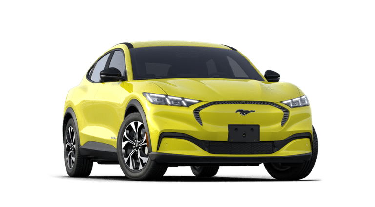 Mustang Mach-E® vehicle
